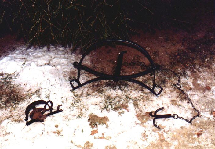 Schwanenhals und Tellereisen